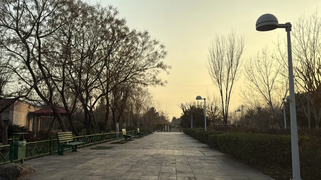 فضای سبز